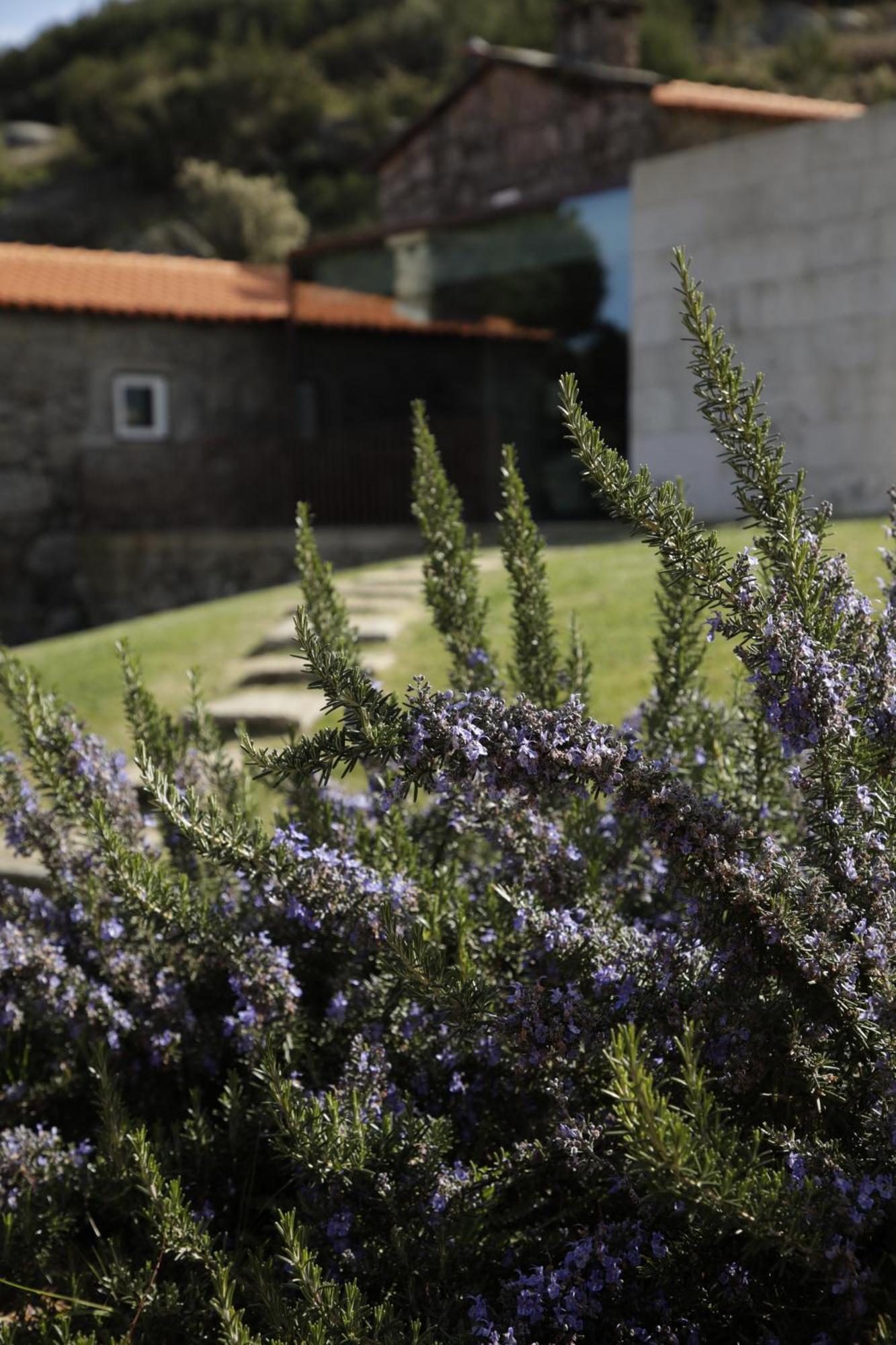 Geres - Leiras Do Tempo - Cottages Brufe Dış mekan fotoğraf